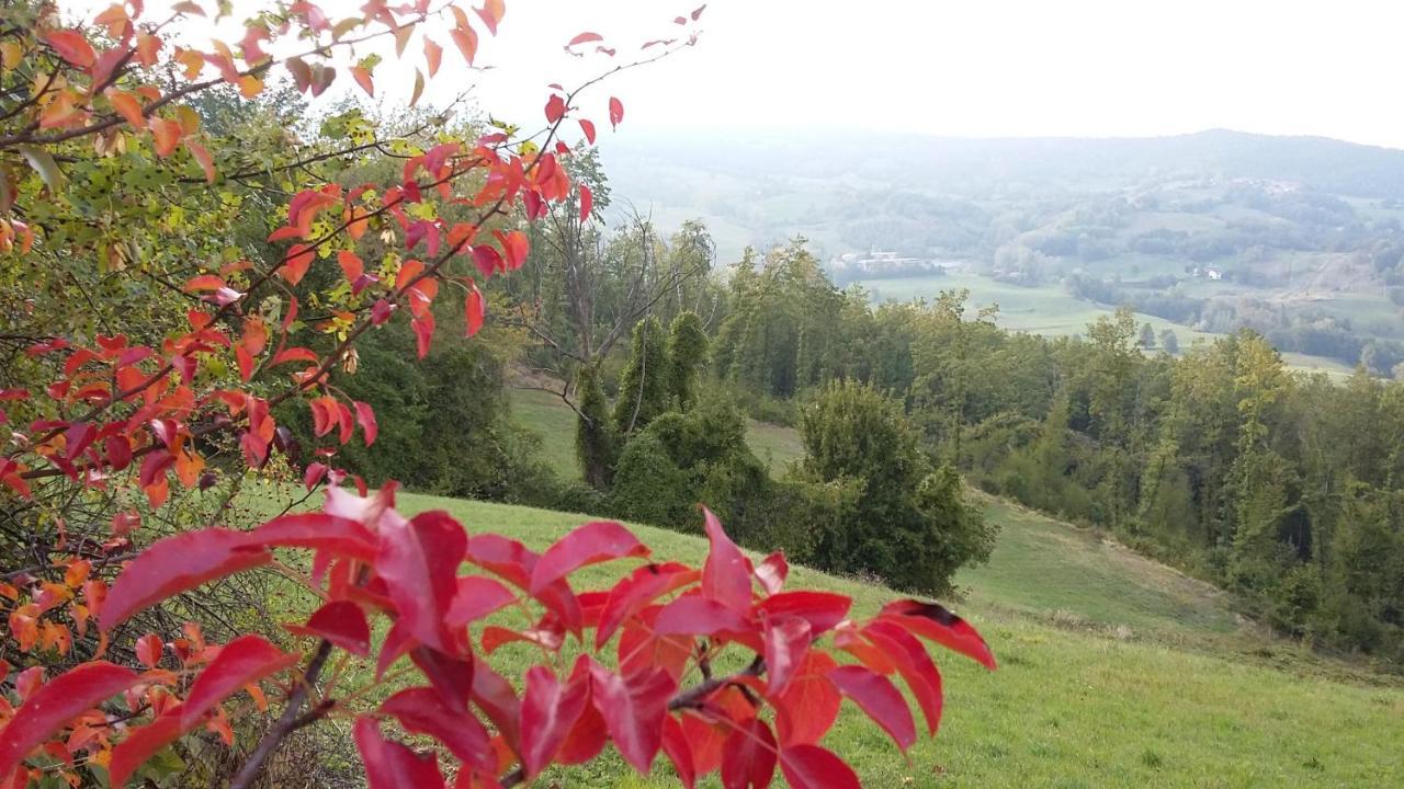Willa Uno Chalet Nel Bosco Lama Mocogno Zewnętrze zdjęcie