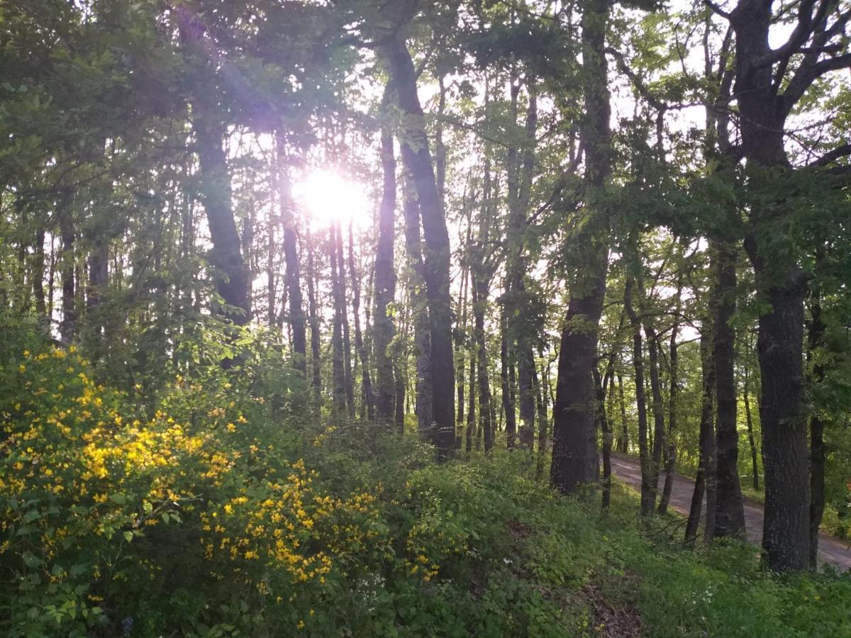 Willa Uno Chalet Nel Bosco Lama Mocogno Zewnętrze zdjęcie